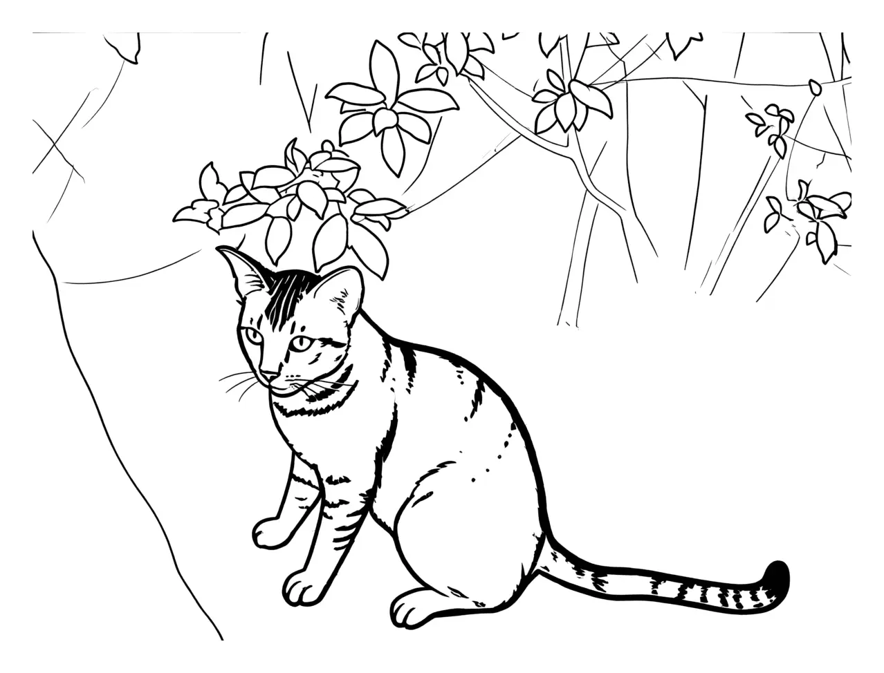 Coloring page of a tabby cat sitting under branches, made from the photo